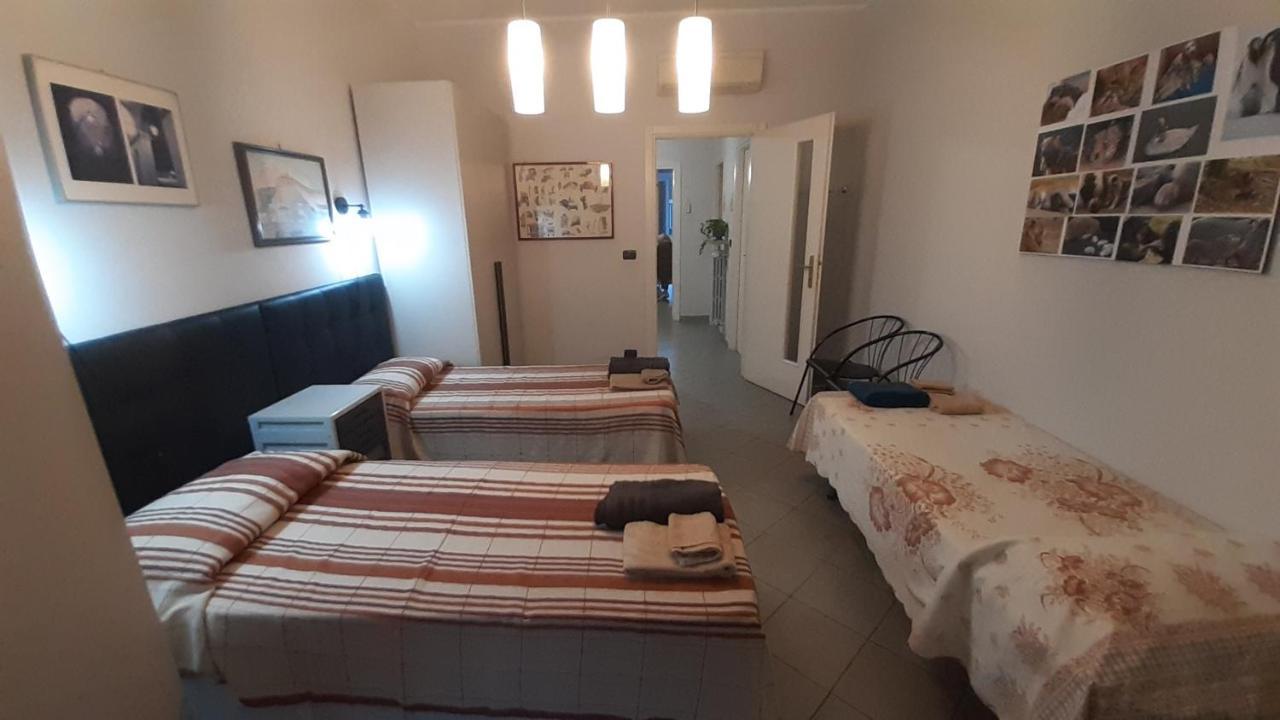 Metronear Apartamento Collegno Exterior foto